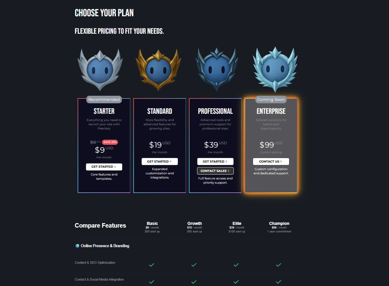 Pricing template preview